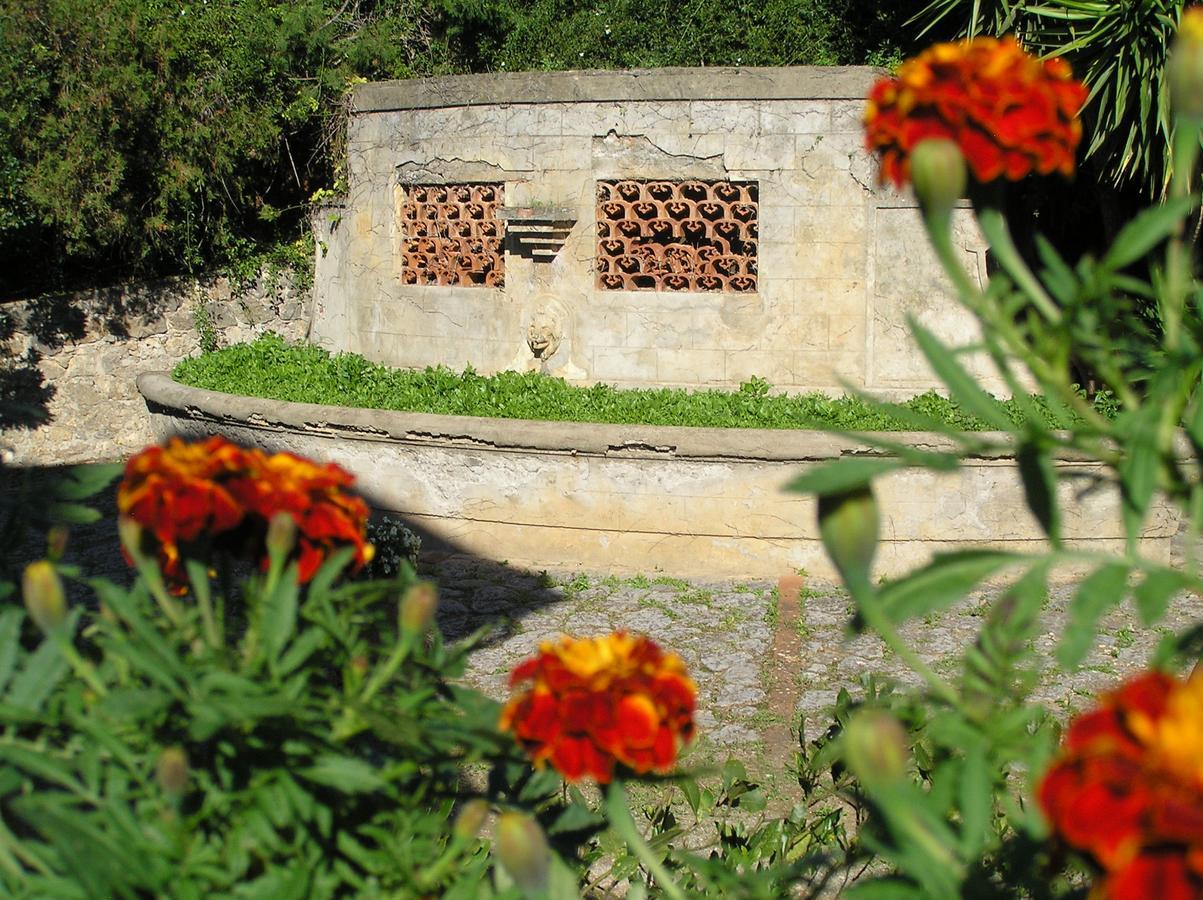 Agriturismo Grazia Orbetello Exterior foto